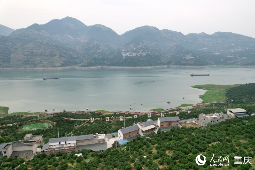 三沱村正以“三峽橙莊”建設(shè)為契機(jī)，描繪鄉(xiāng)村振興新圖景。人民網(wǎng)記者 劉政寧攝